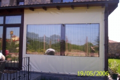 şeffaf kamelya (9)